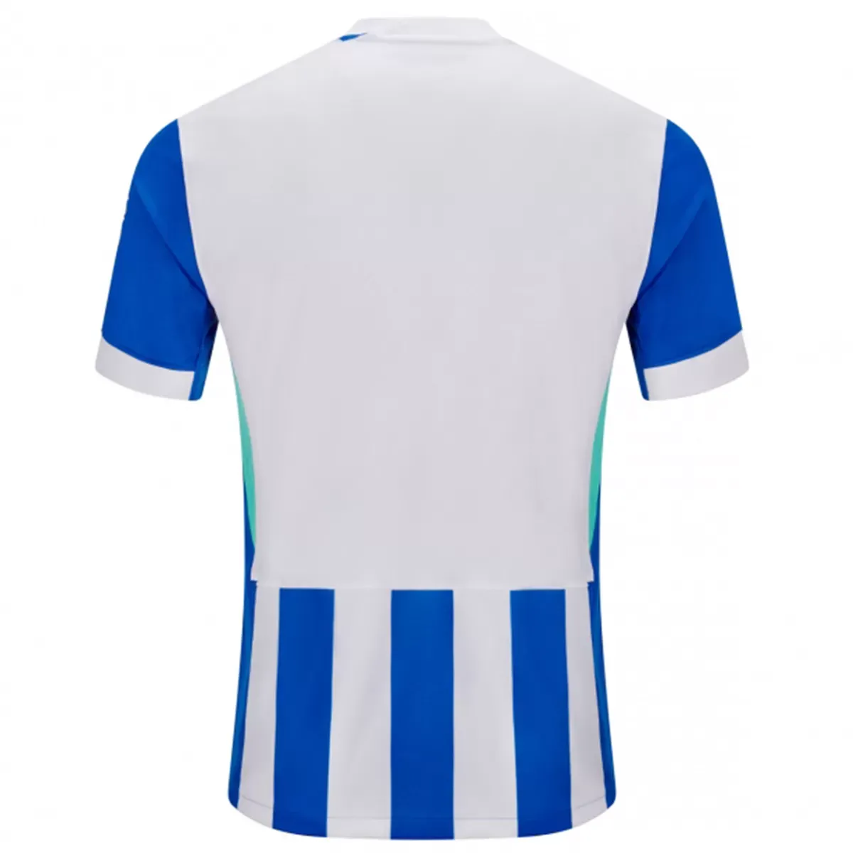 Alternative view of Brighton & Hove Albion Home Jersey