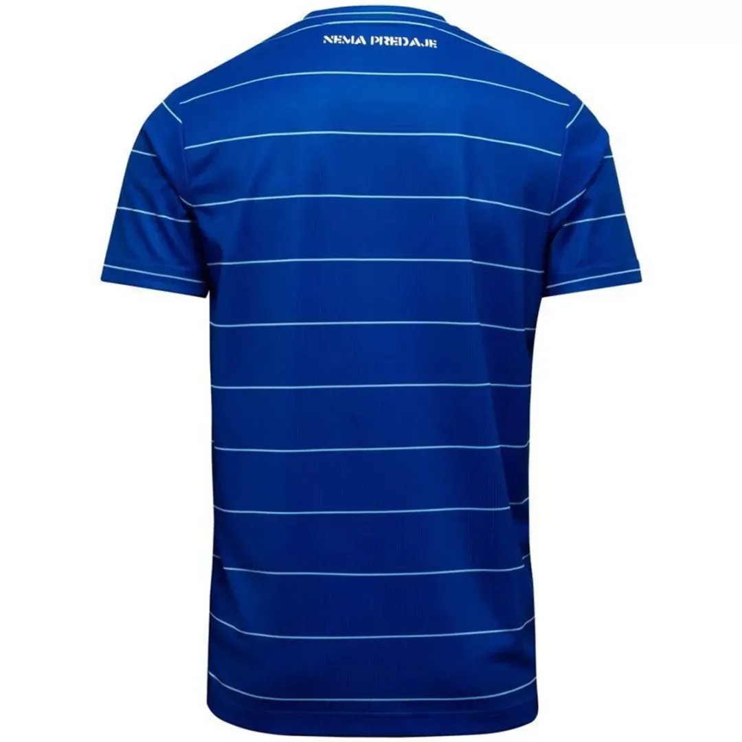 Alternative view of Castore Dinamo Zagreb Jersey